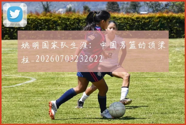 姚明国家队生涯:中国男篮的顶梁柱_20260703232622