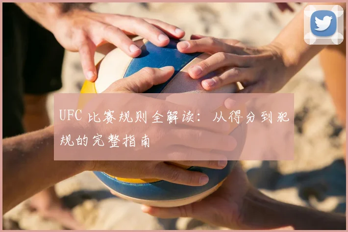 UFC 比赛规则全解读：从得分到犯规的完整指南