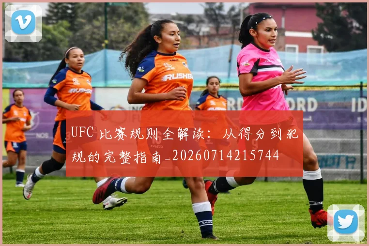 UFC 比赛规则全解读：从得分到犯规的完整指南_20260714215744